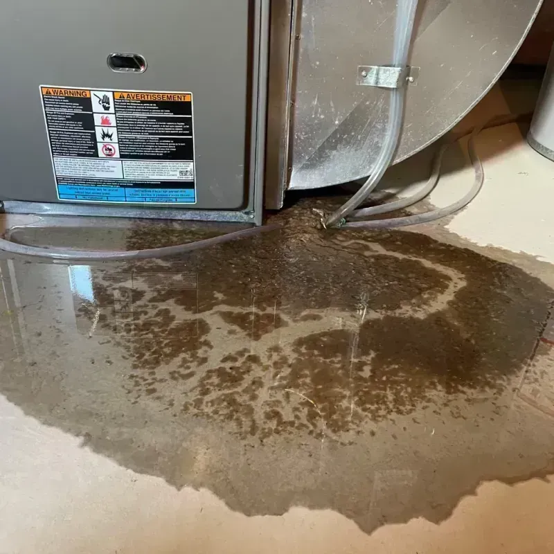 Appliance Leak Cleanup in Durango, CO